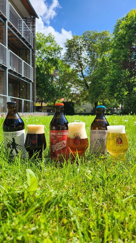 Sixpack Speidelbier - SCHWARZ.ROT.GOLD. Sixpack Speidelbier - SCHWARZ.ROT.GOLD.