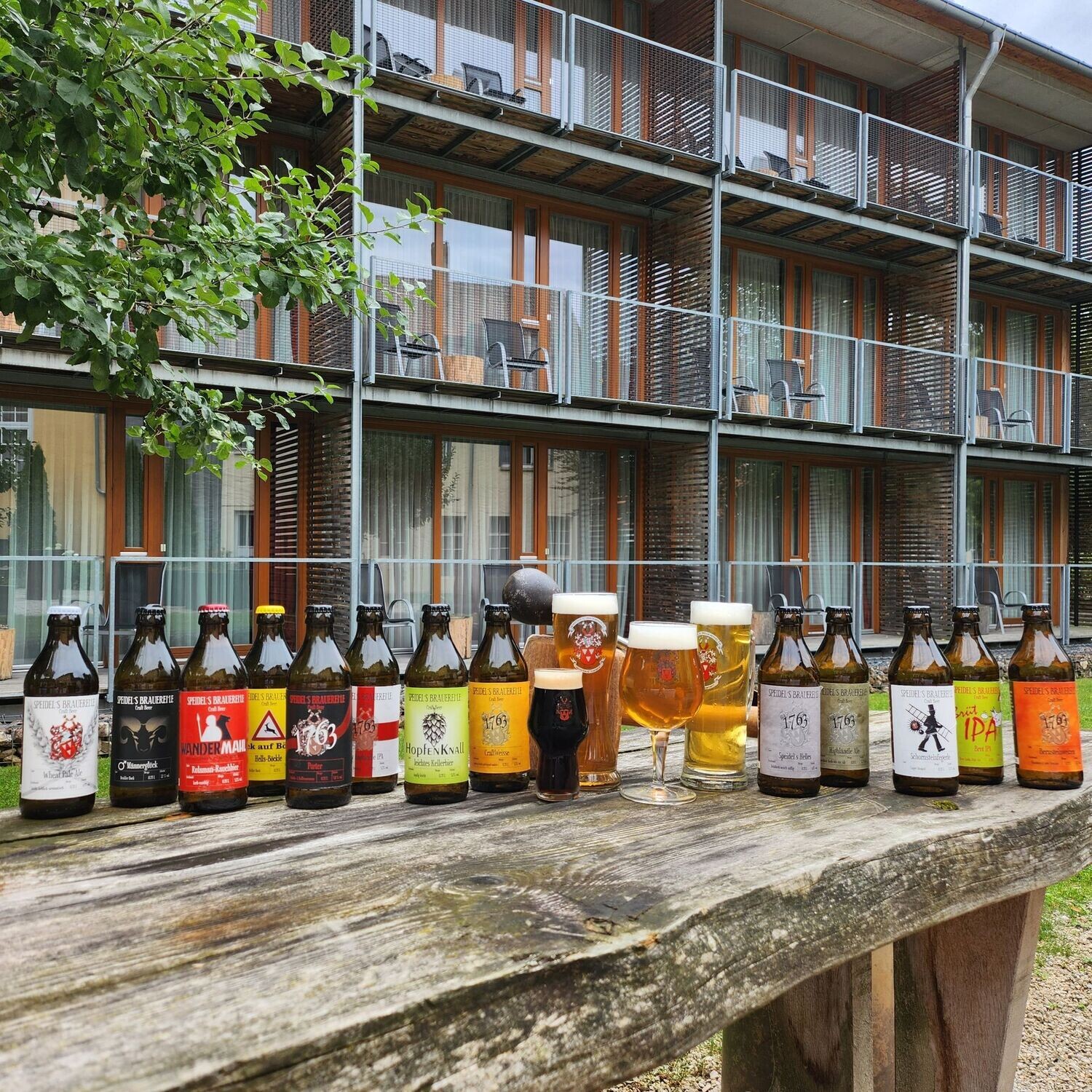 Sixpack Speidelbier Deiner Wahl