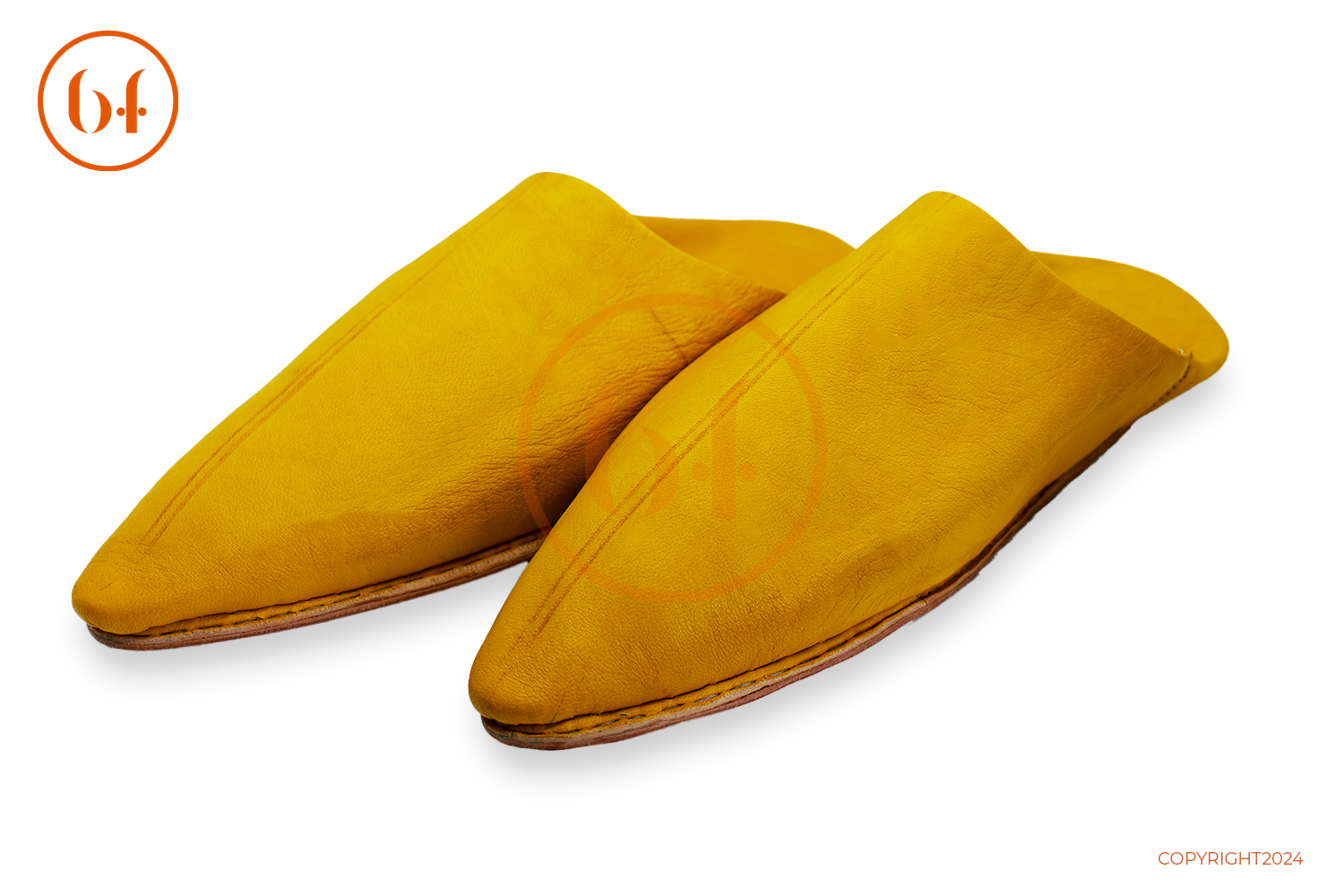 POINTUE ZAOUIA JAUNE