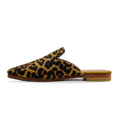 Chaussure SAHA BAGGERAH Chaussure SAHA BAGGERAH