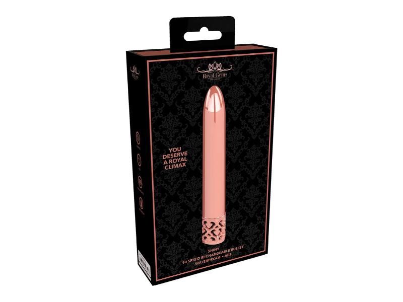 Shiny Rechargeable ABS Bullet
