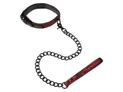 Scandal Collar With Leash