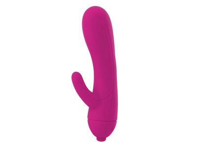 Mi-Vibe Mini Rapture