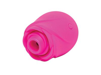 Romp Rose