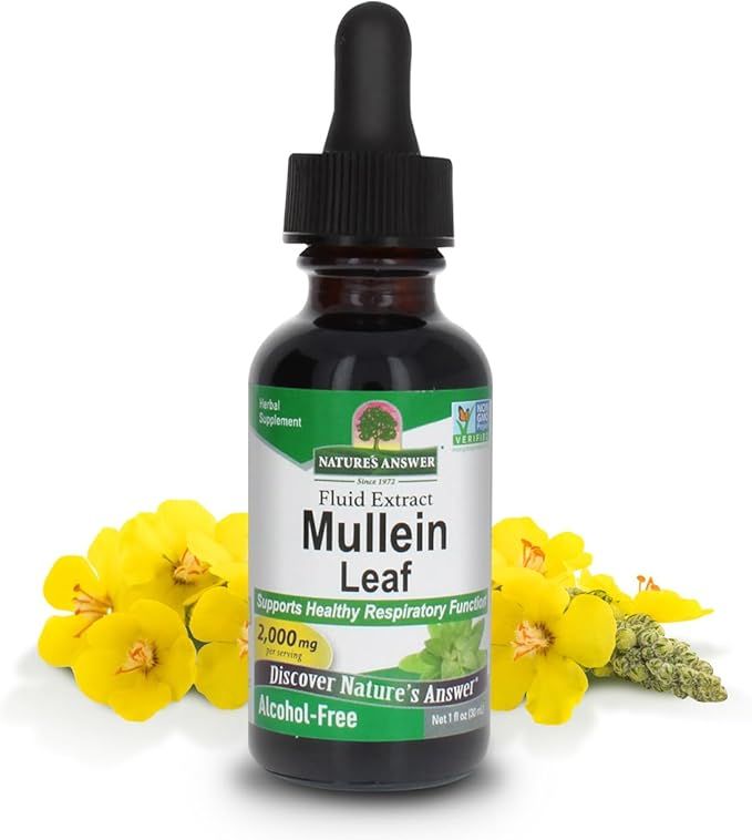 Mullein Leaf - Fluid Extract