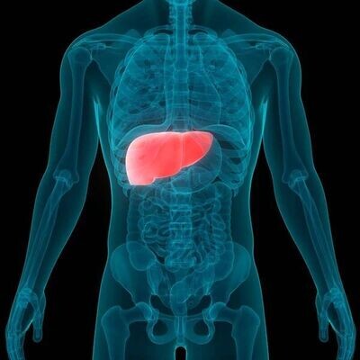 HEPATIC