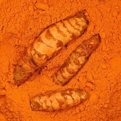 Curcuma en pols