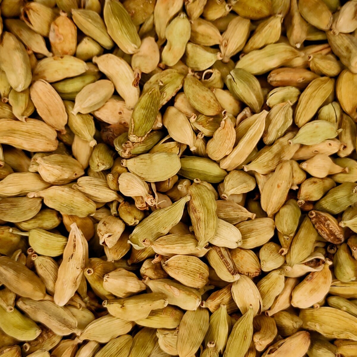 Cardamom Llavors