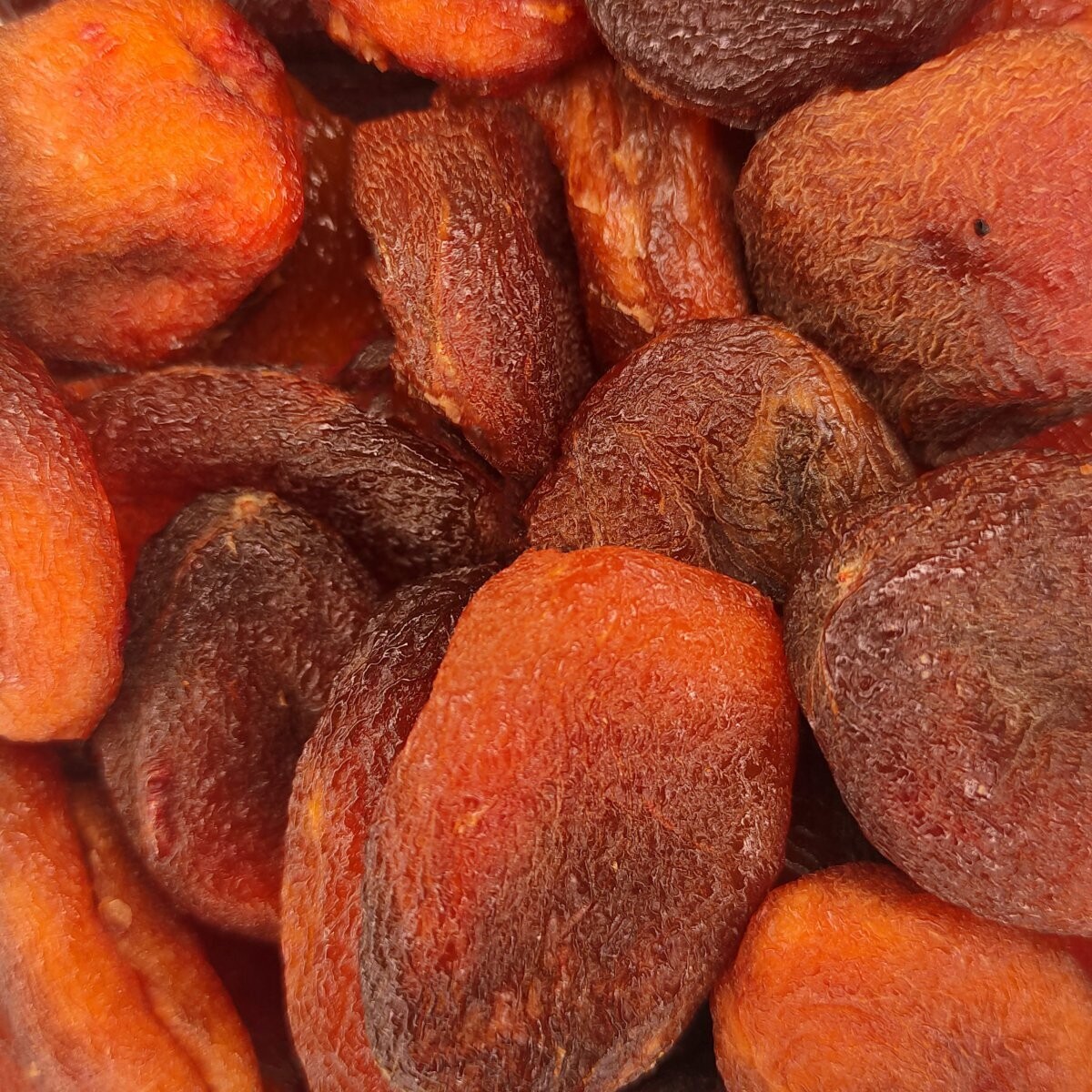 Orellana