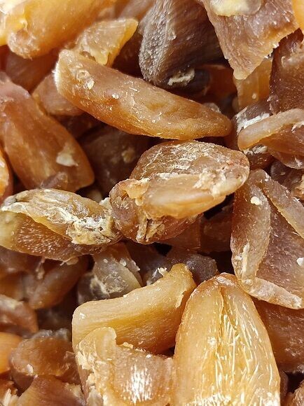 GINGEBRE DESHIDRATAT SENSE SUCRE