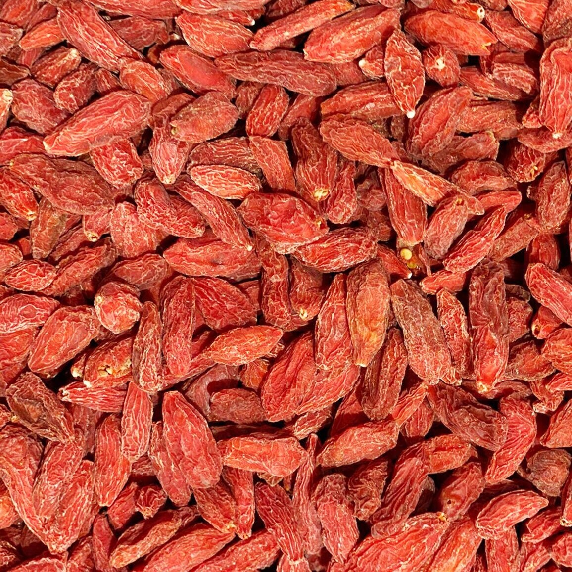 BAIES DE GOJI
