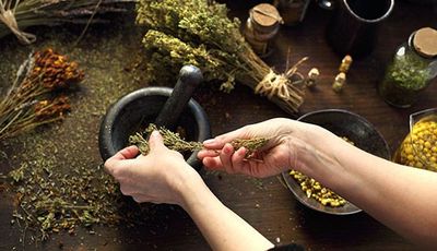 HERBES