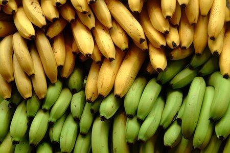 PLATAN