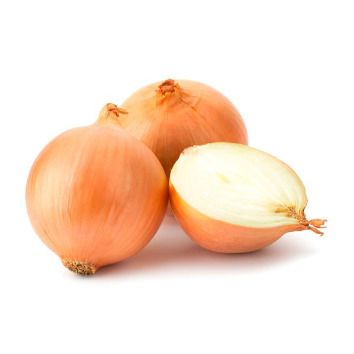 CEBA BLANCA