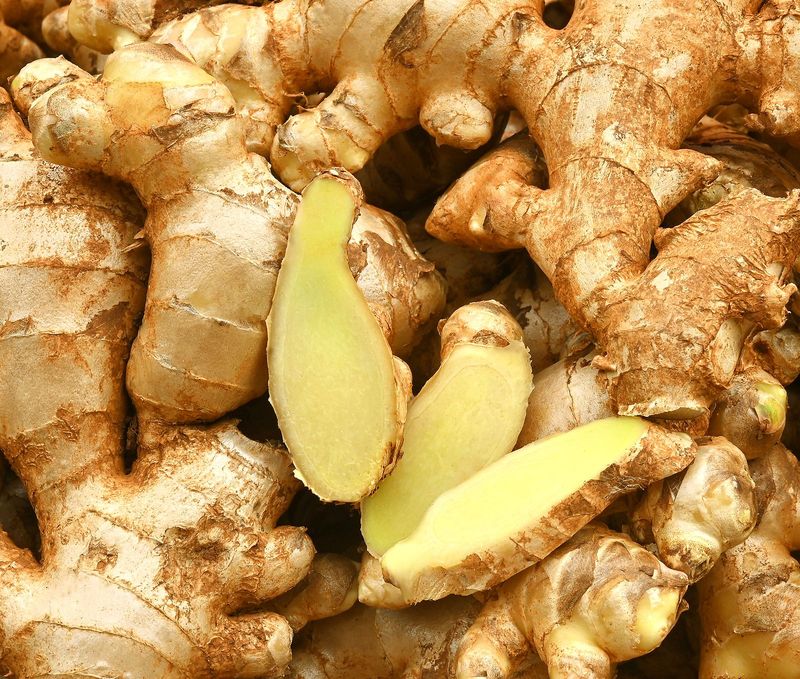 GINGEBRE