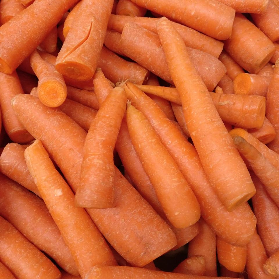 PASTANAGA