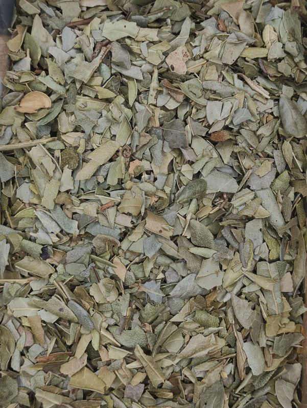 BOLDO Triturat