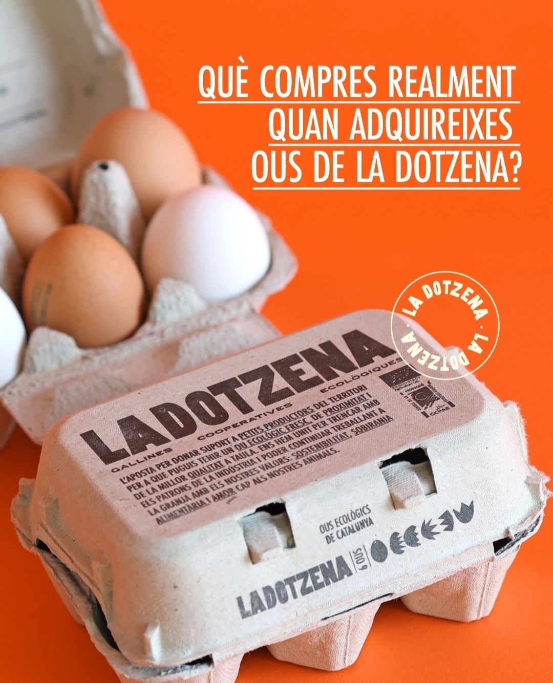 Caixa 1/2 dotzena