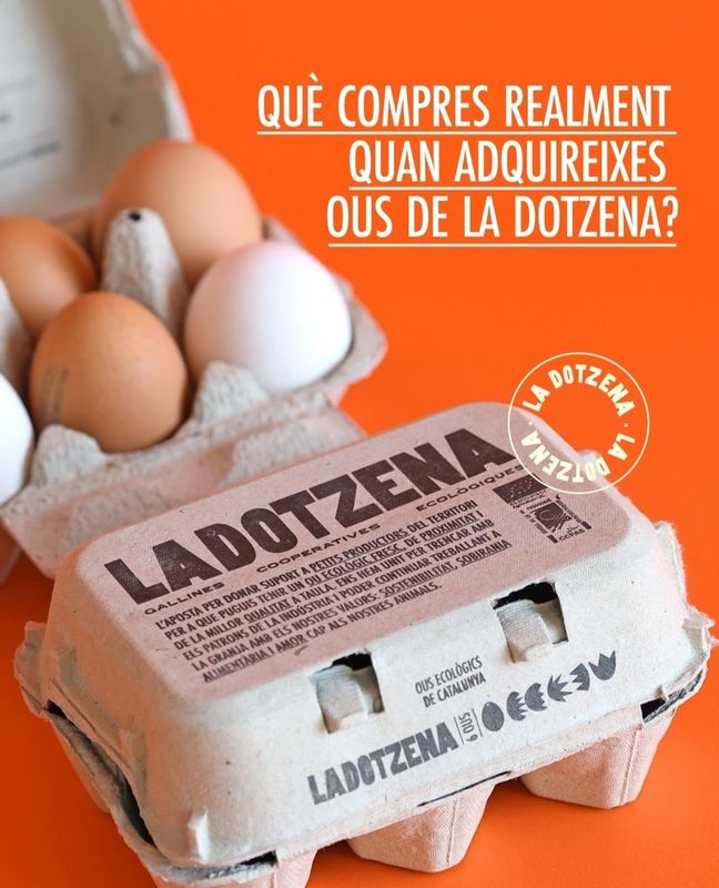 Caixa 1/2 dotzena