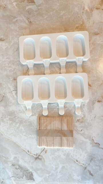 Popsicle Molds Set of 2