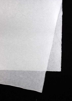 Plain (Non Patterned)