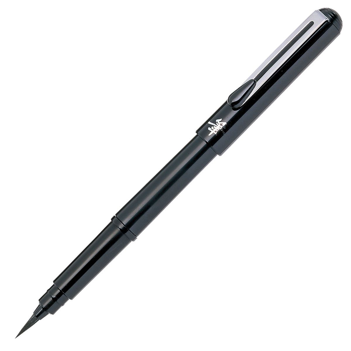 Pentel Arts Pocket Brush Pen Starter Set