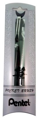 Pentel Arts Pocket Brush Pen Starter Set