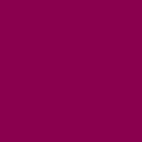 LePen Coloured Pen, COlour: Burgundy