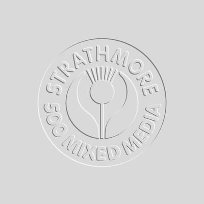 Strathmore Mixed Media Paper Sheet