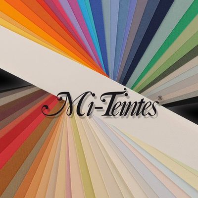 Canson Mi-Teinte Paper Sheet