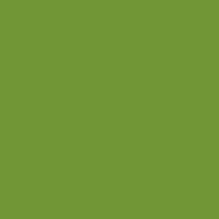 Canson Mi-Teinte - Paper Sheet, COlour: Apple Green 475 (aka Dark)