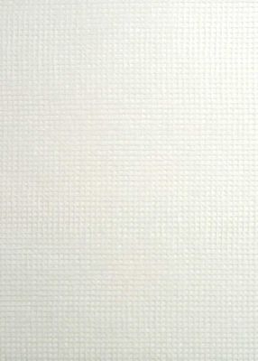 Grid Tissue - Paper Sheet