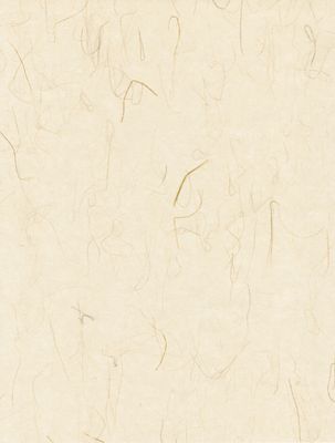 Washi -Tatami Natural Paper Sheet