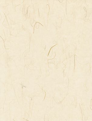 Washi Paper Sheet - Tatami Natural (Sized)