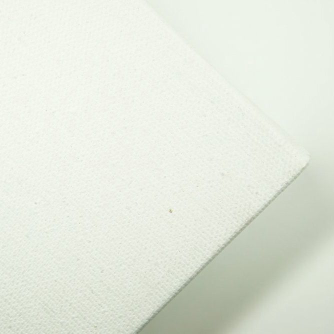 Tri-Art Stretched Canvases, Size: 10x10", Type: Primed