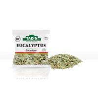 Eucalyptus