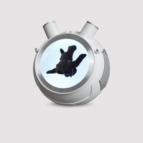 Ferrofluid Art Display