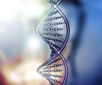 Activation ADN à 36 brins