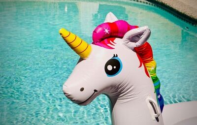 LE SYSTÈME DE GUÉRISON DE LA LICORNE