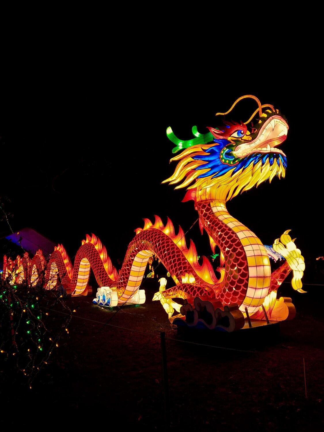 Initiation Snap of the dragon (francais)