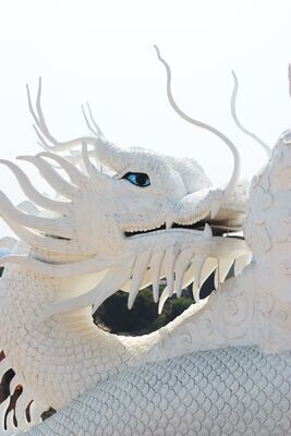 Le Reiki du Dragon Blanc