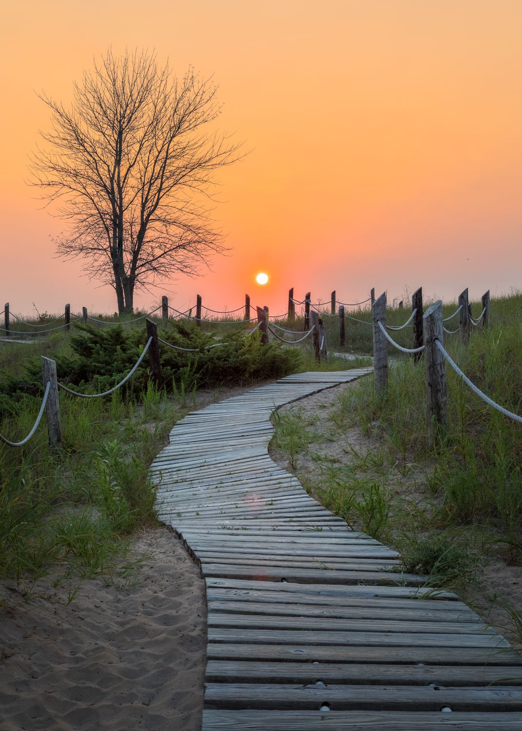 Le Reiki du Chemin de Vie