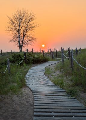 Le Reiki du Chemin de Vie