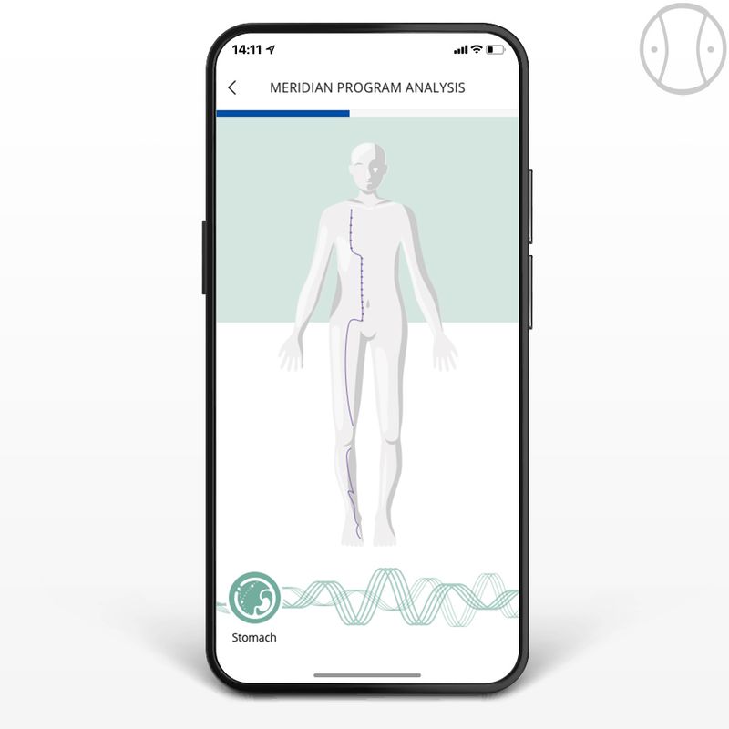 ANALYSE DES MÉRIDIENS ET SOINS