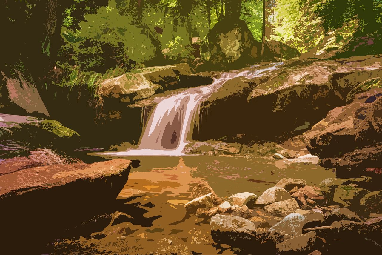 Le Reiki de la Cascade Indienne