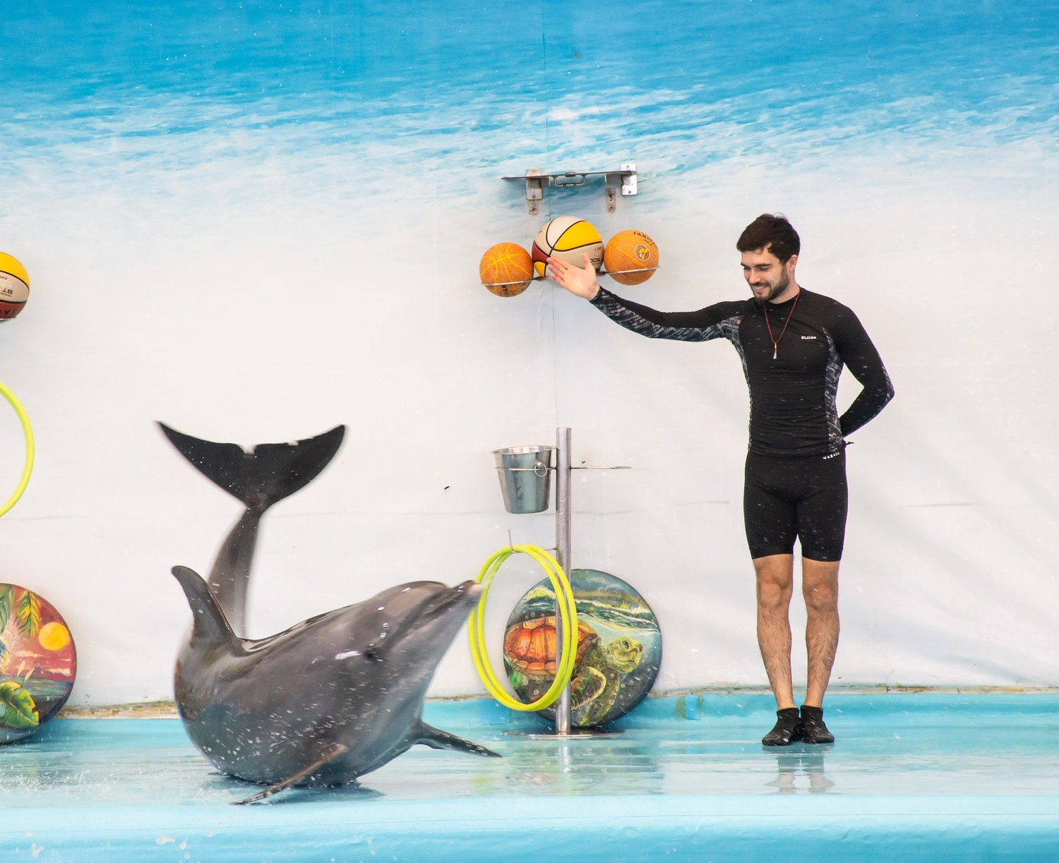 Dolphinarium Pattaya