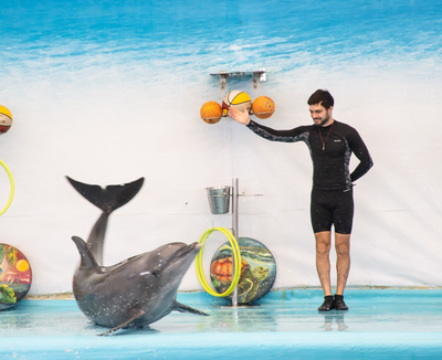 Dolphinarium Pattaya