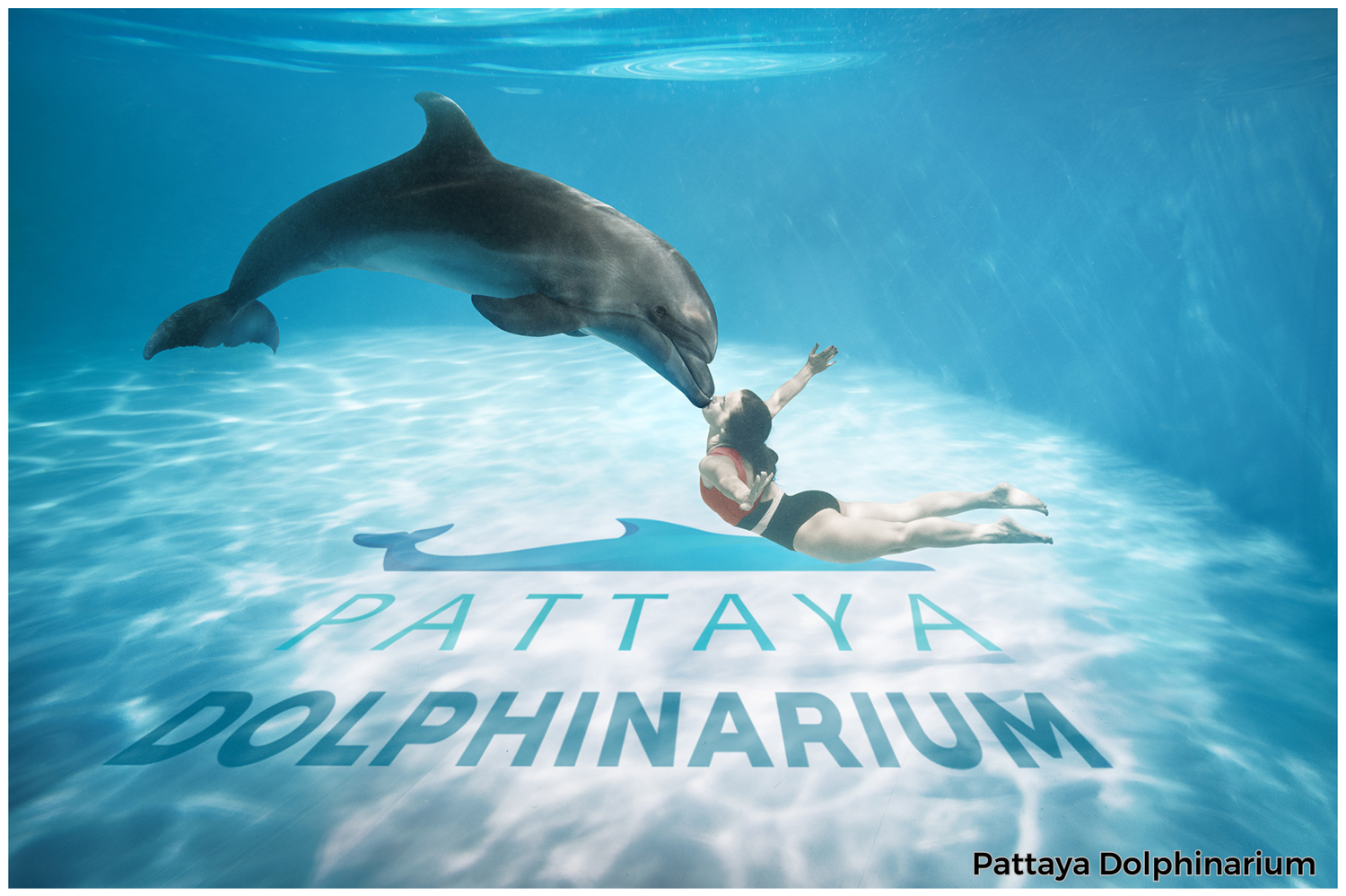 Dolphinarium Pattaya