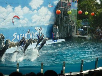 SAFARI WORLD + MARINE PARK with PRIVATE TRANSFER