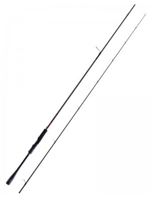 Canne da Tataki